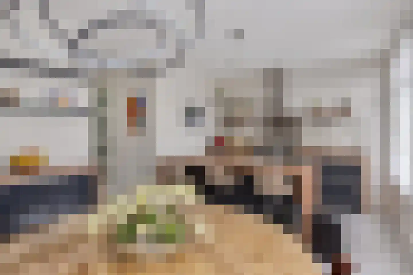 Egel 13 Veldhoven thumbnail 14