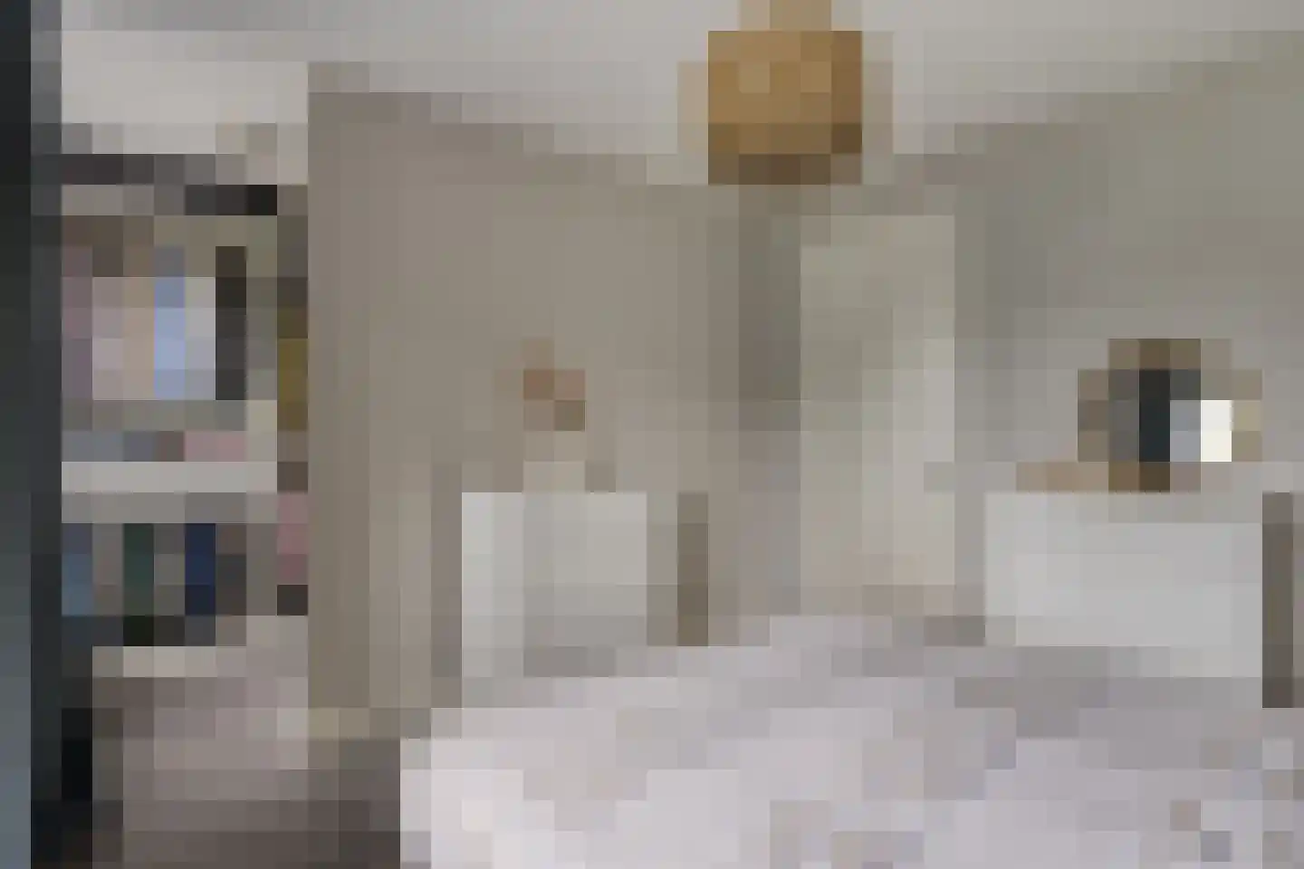 Egel 13 Veldhoven thumbnail 22