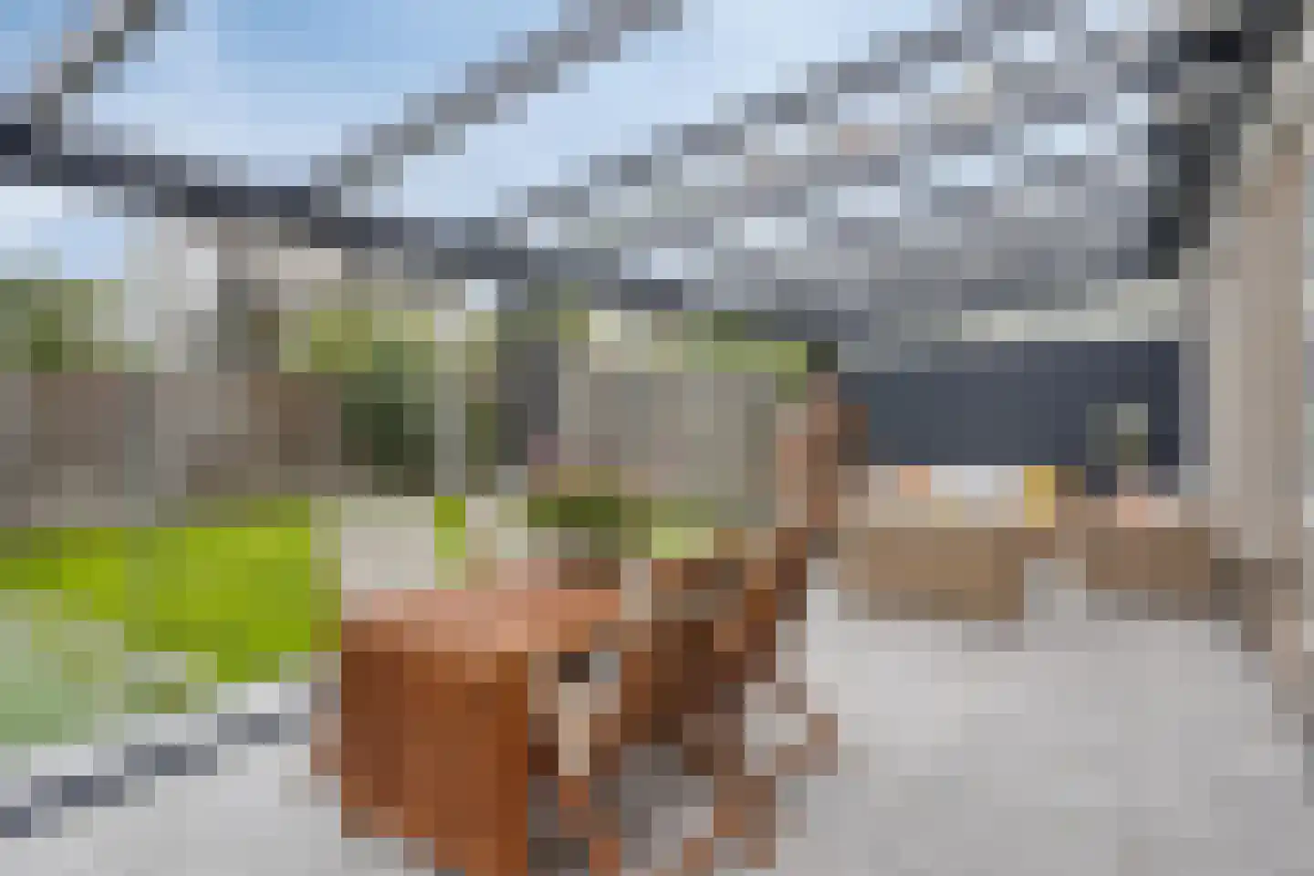 Egel 13 Veldhoven thumbnail 34