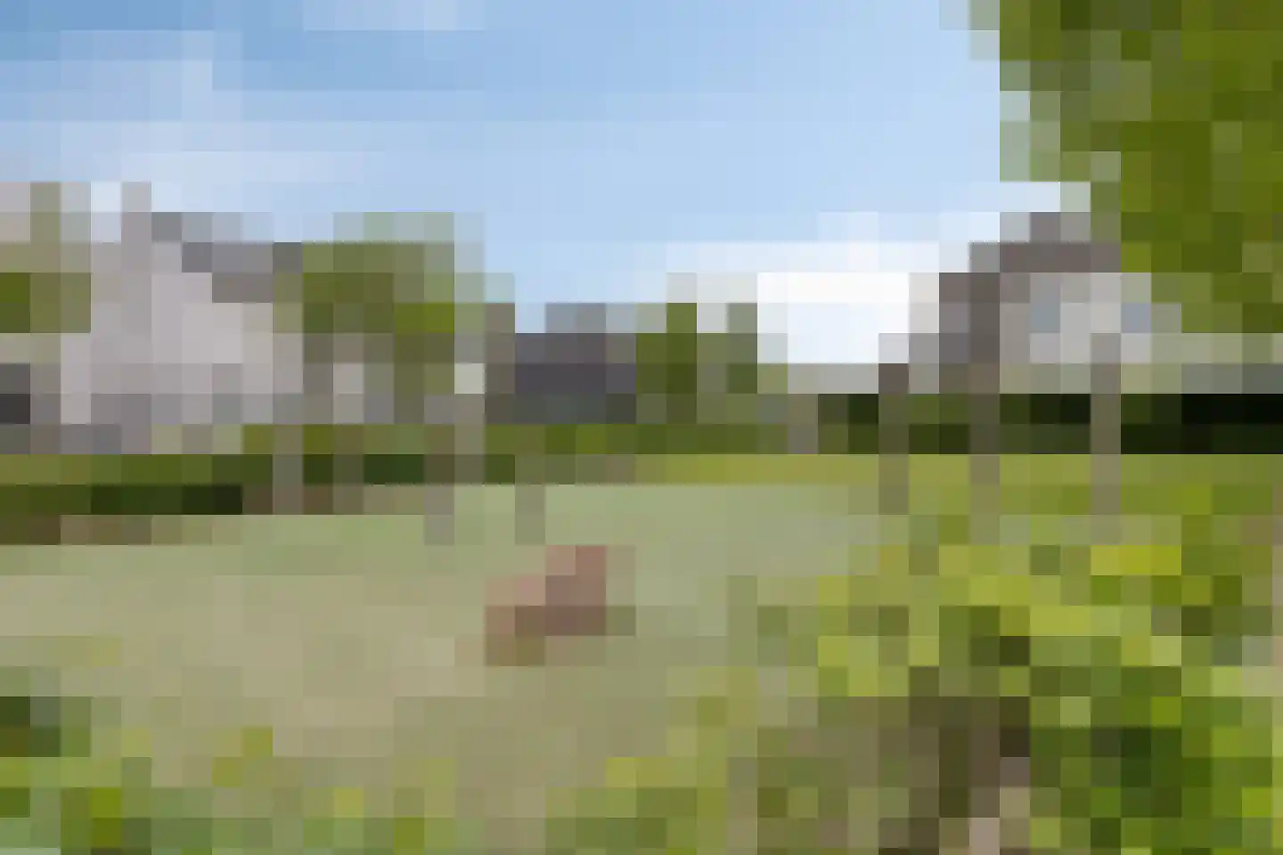 Egel 13 Veldhoven thumbnail 41