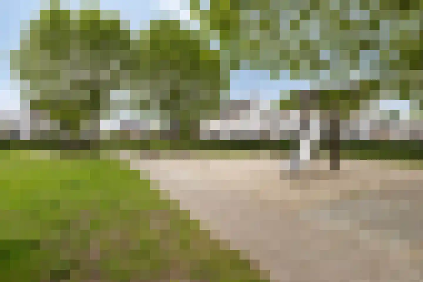 Egel 13 Veldhoven thumbnail 42