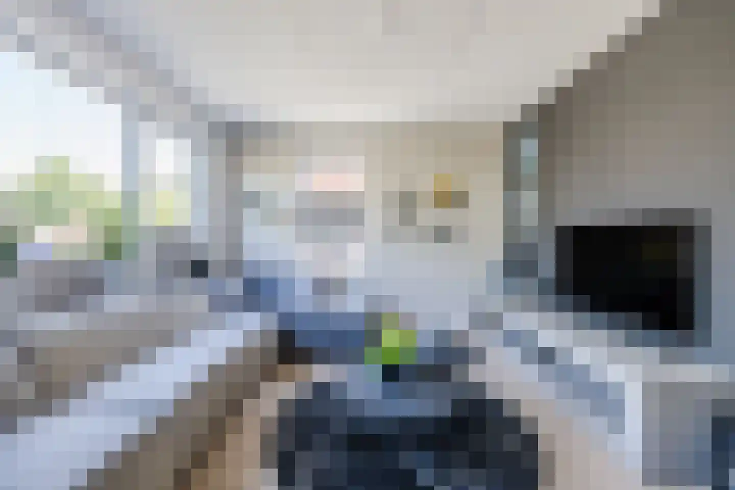 Egel 23 Hoogeveen thumbnail 13