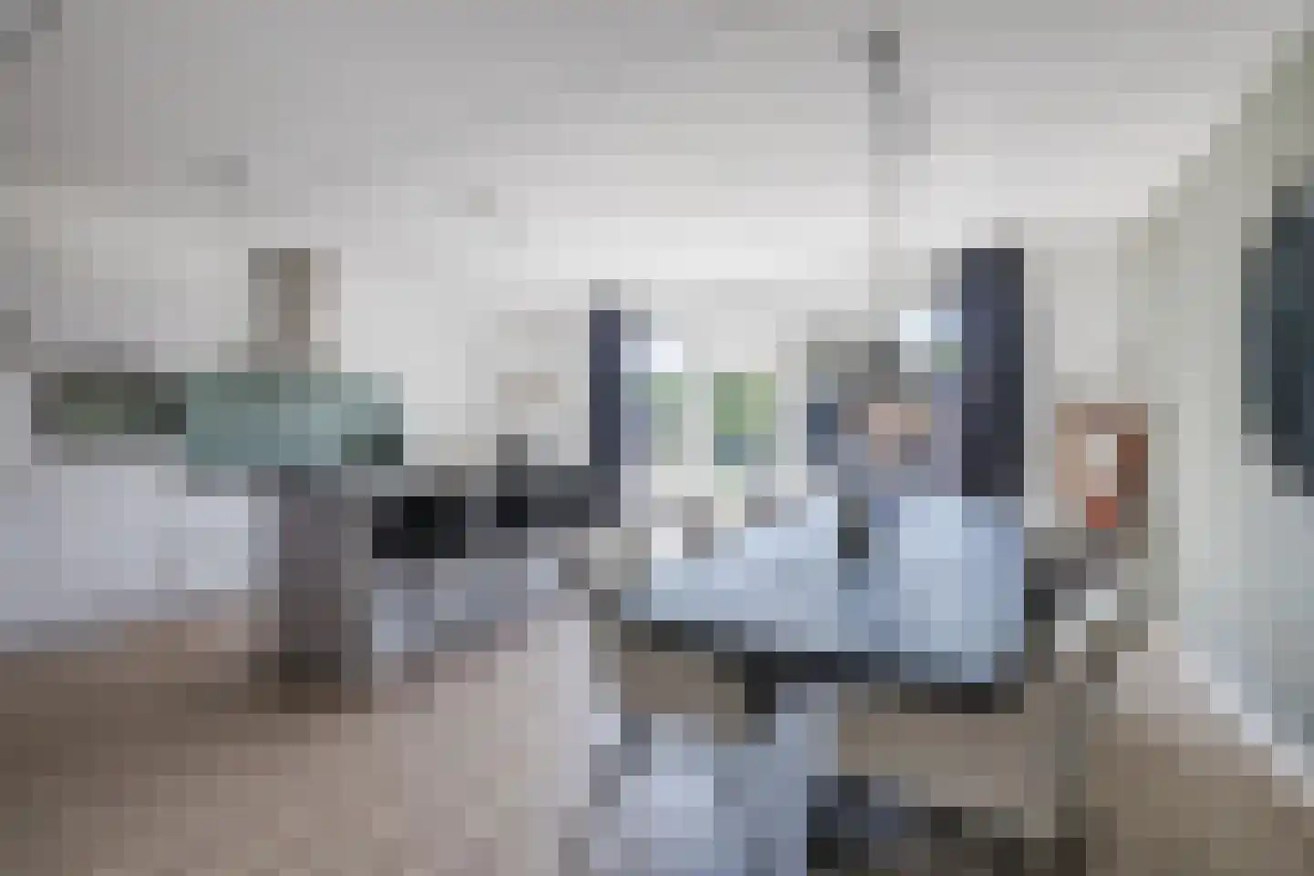 Egel 23 Hoogeveen thumbnail 17