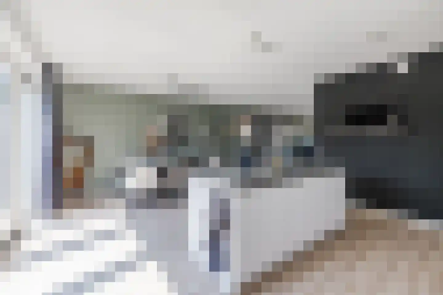 Egel 23 Hoogeveen thumbnail 19