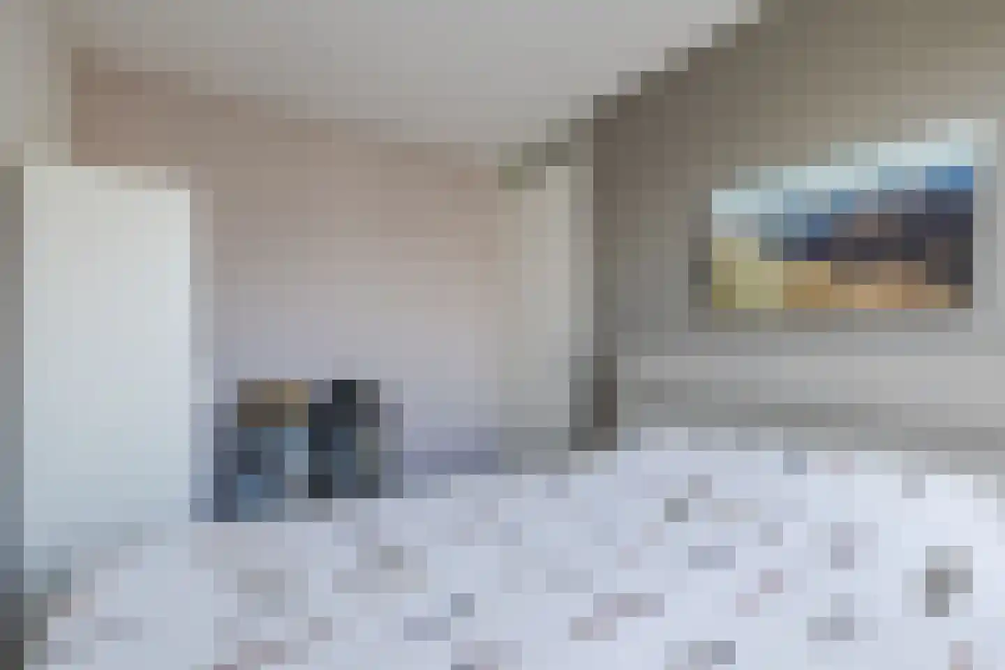 Egel 23 Hoogeveen thumbnail 32