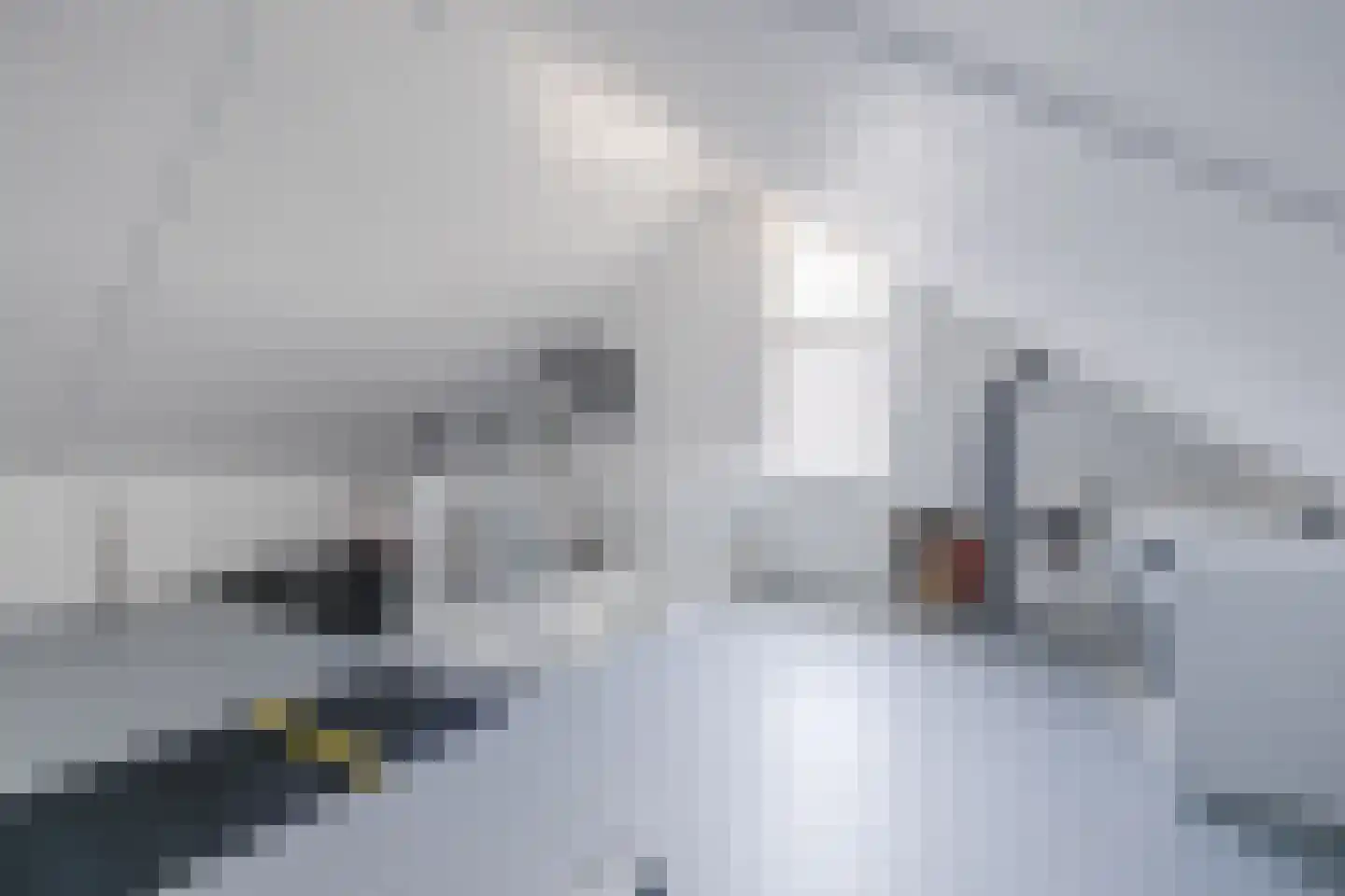 Egel 23 Hoogeveen thumbnail 42