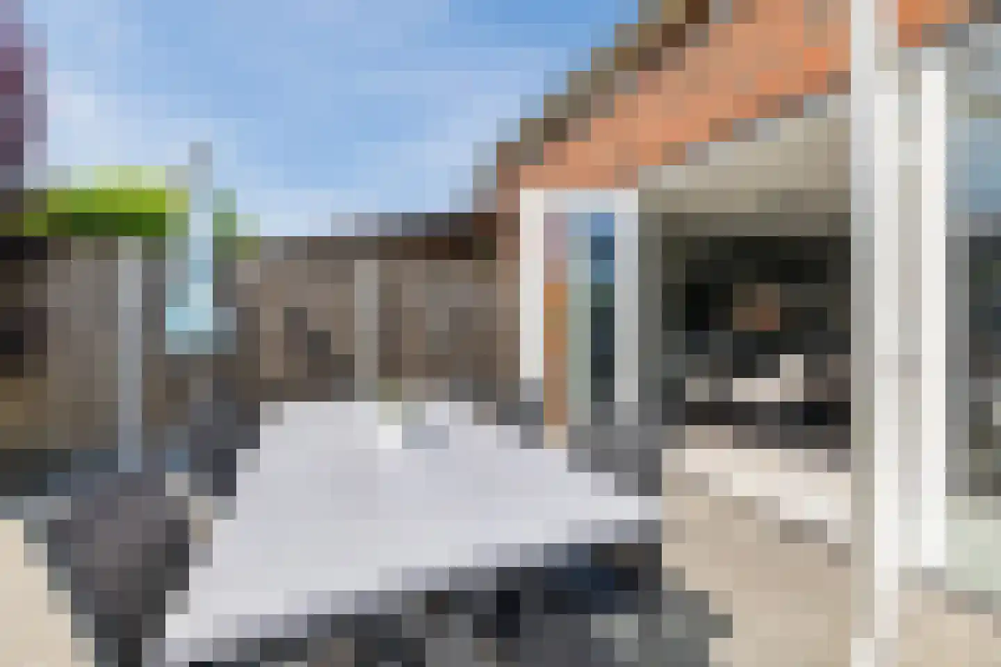 Egel 23 Hoogeveen thumbnail 44