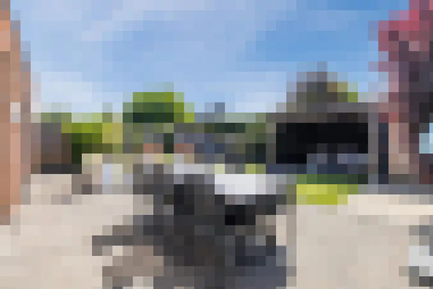 Egel 23 Hoogeveen thumbnail 45