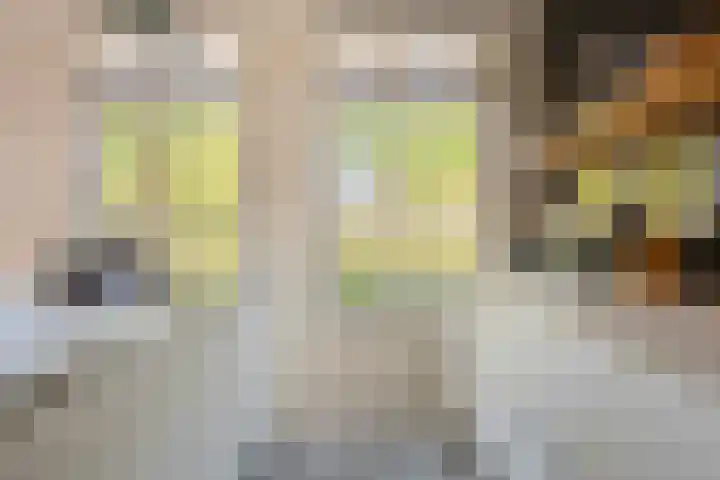 Egel 28 Veldhoven thumbnail 13