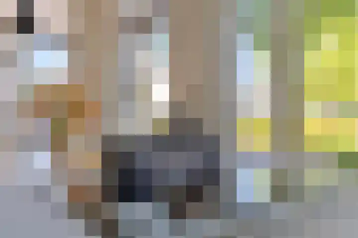 Egel 28 Veldhoven thumbnail 14