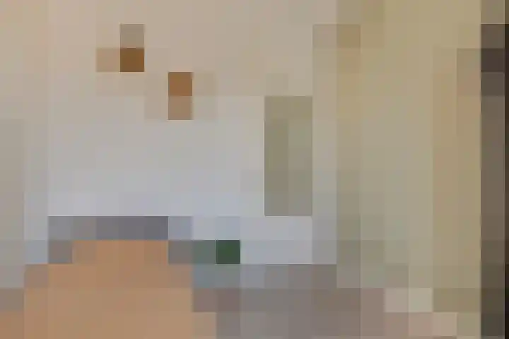 Egel 28 Veldhoven thumbnail 22