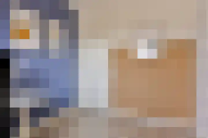 Egel 28 Veldhoven thumbnail 24
