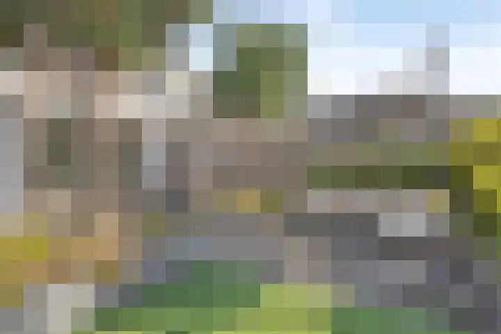 Egel 28 Veldhoven thumbnail 32
