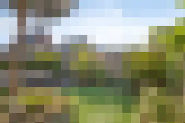 Egel 28 Veldhoven thumbnail 33