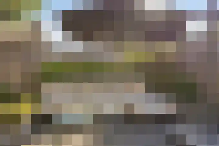 Egel 28 Veldhoven thumbnail 34