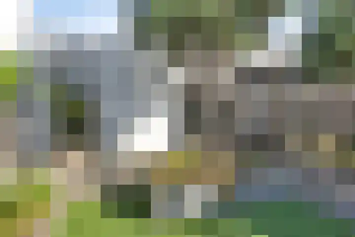 Egel 28 Veldhoven thumbnail 35