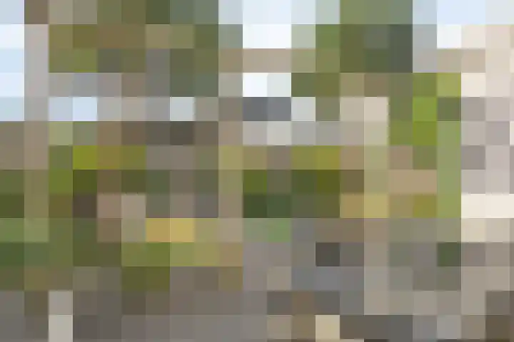 Egel 28 Veldhoven thumbnail 36