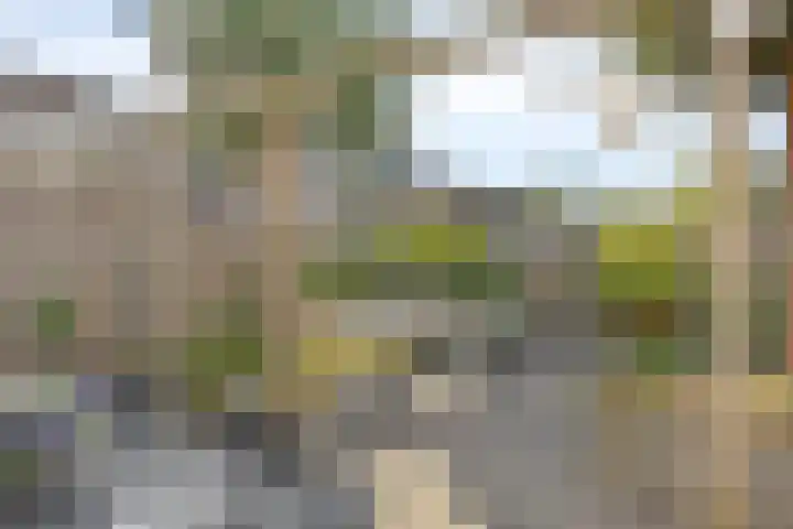 Egel 28 Veldhoven thumbnail 37