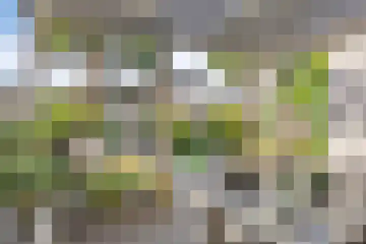 Egel 28 Veldhoven thumbnail 38