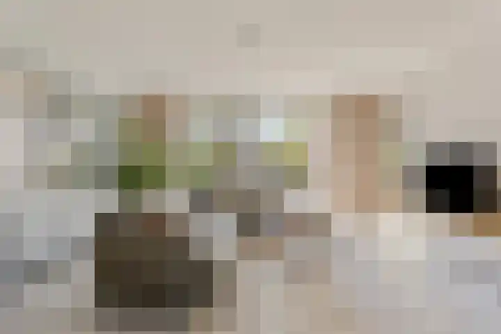 Egel 28 Veldhoven thumbnail 4