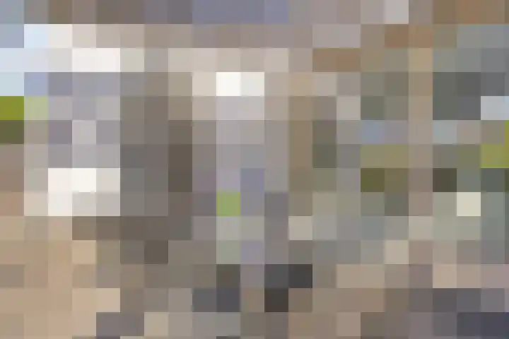 Egel 28 Veldhoven thumbnail 41