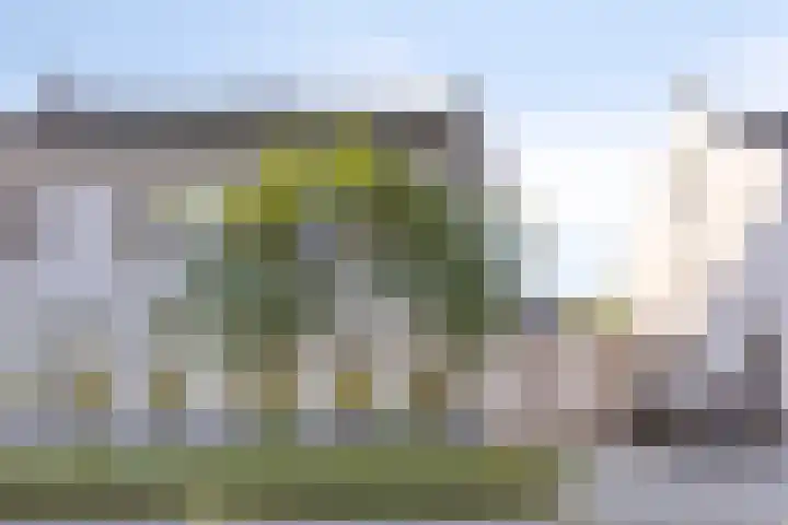 Egel 28 Veldhoven thumbnail 44