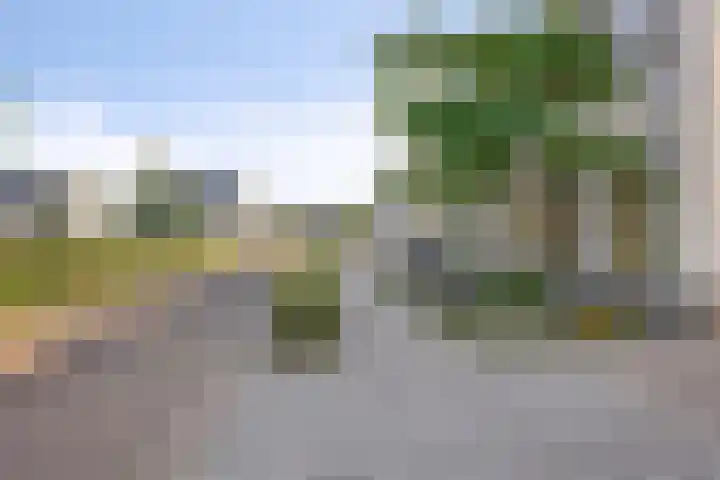 Egel 28 Veldhoven thumbnail 45