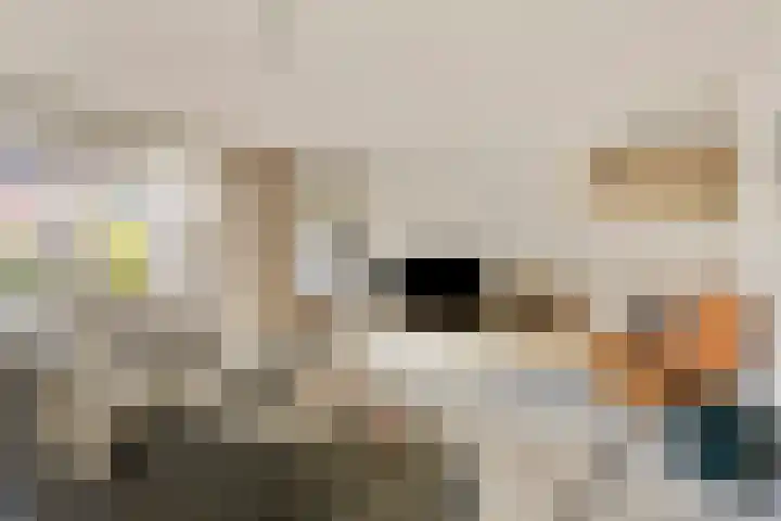 Egel 28 Veldhoven thumbnail 5