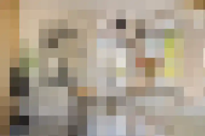 Egel 28 Veldhoven thumbnail 8