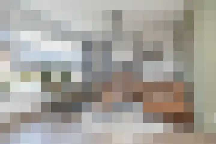 Egel 3 Hoogeveen thumbnail 10