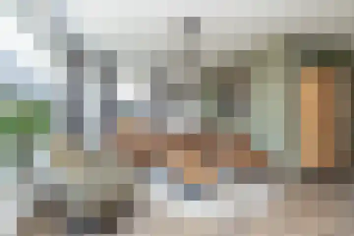 Egel 3 Hoogeveen thumbnail 11