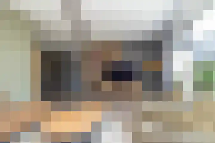 Egel 3 Hoogeveen thumbnail 12