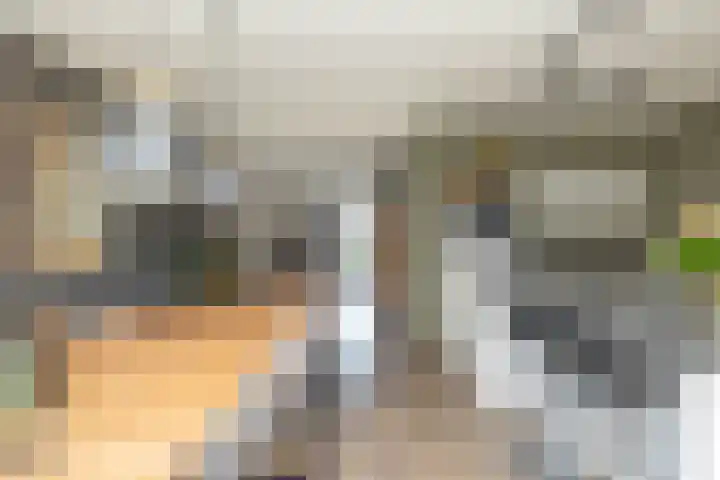 Egel 3 Hoogeveen thumbnail 15
