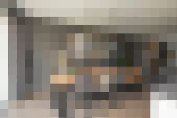 Egel 3 Hoogeveen thumbnail 16