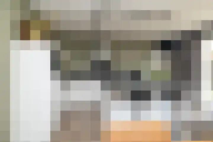 Egel 3 Hoogeveen thumbnail 17