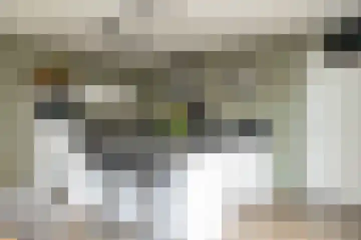 Egel 3 Hoogeveen thumbnail 18
