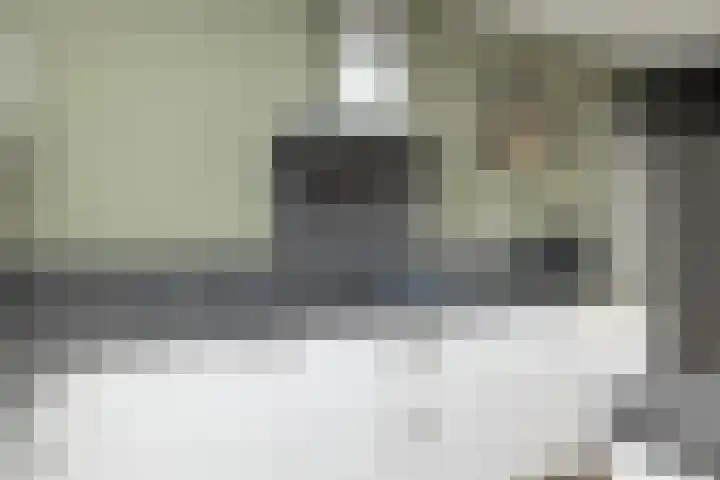 Egel 3 Hoogeveen thumbnail 19