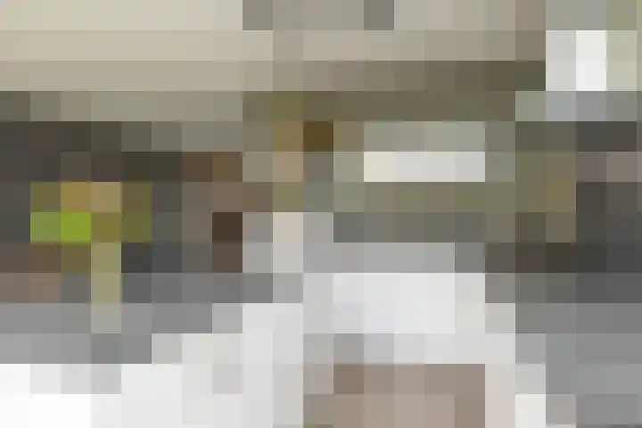 Egel 3 Hoogeveen thumbnail 20