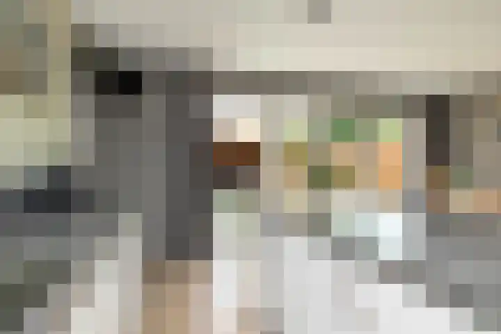 Egel 3 Hoogeveen thumbnail 21