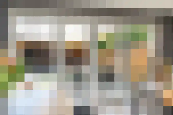 Egel 3 Hoogeveen thumbnail 22