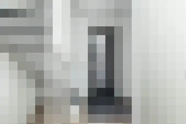 Egel 3 Hoogeveen thumbnail 27