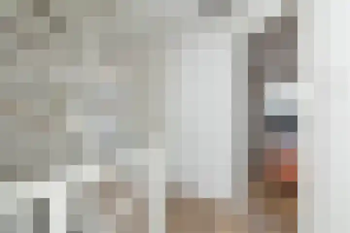 Egel 3 Hoogeveen thumbnail 29