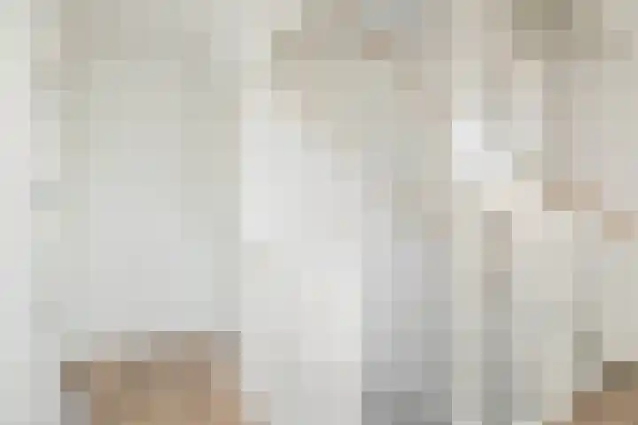 Egel 3 Hoogeveen thumbnail 32