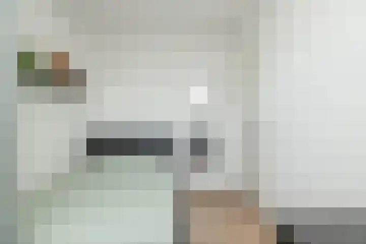 Egel 3 Hoogeveen thumbnail 34