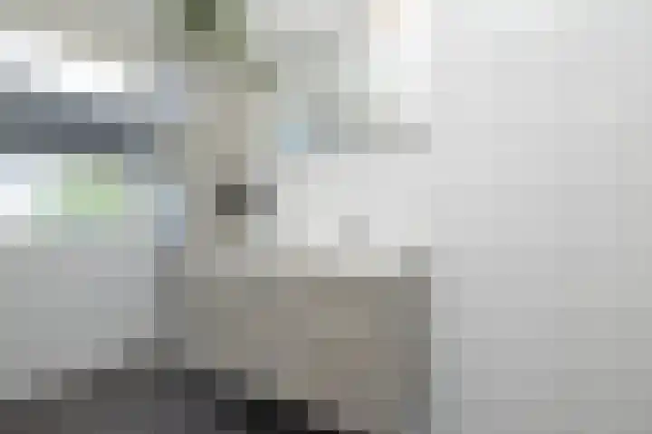 Egel 3 Hoogeveen thumbnail 39
