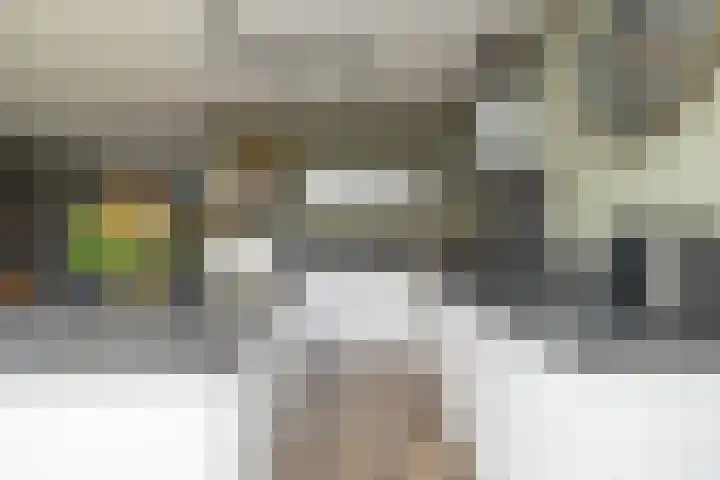 Egel 3 Hoogeveen thumbnail 4