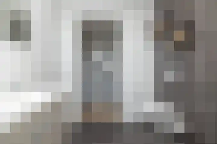 Egel 3 Hoogeveen thumbnail 41