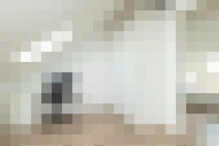 Egel 3 Hoogeveen thumbnail 42