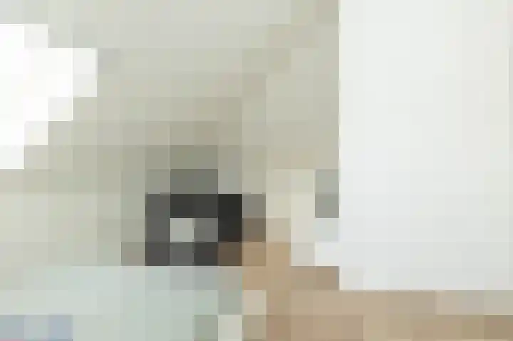 Egel 3 Hoogeveen thumbnail 45