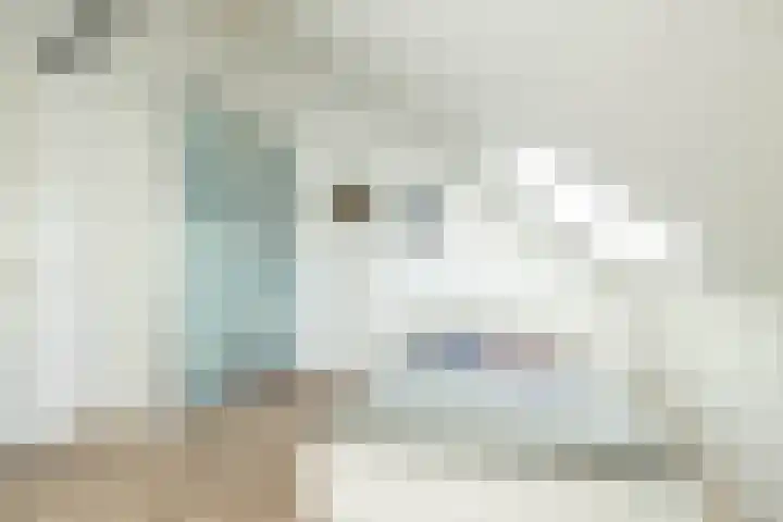 Egel 3 Hoogeveen thumbnail 46